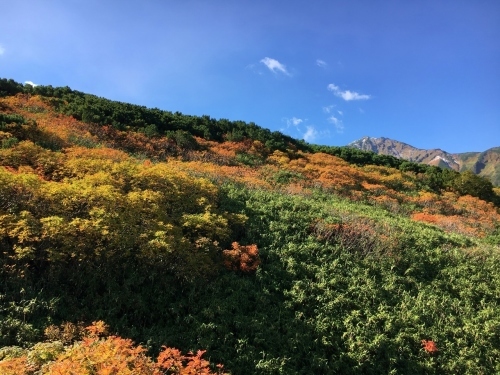 富良野岳途中まで^^;_e0326953_23293088.jpg