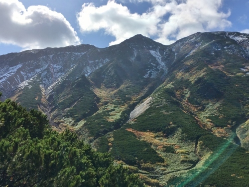 富良野岳途中まで^^;_e0326953_23323265.jpg