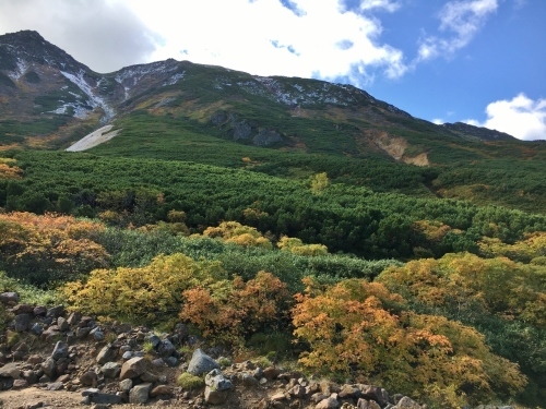 富良野岳途中まで^^;_e0326953_23405864.jpg