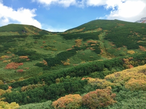 富良野岳途中まで^^;_e0326953_23430354.jpg