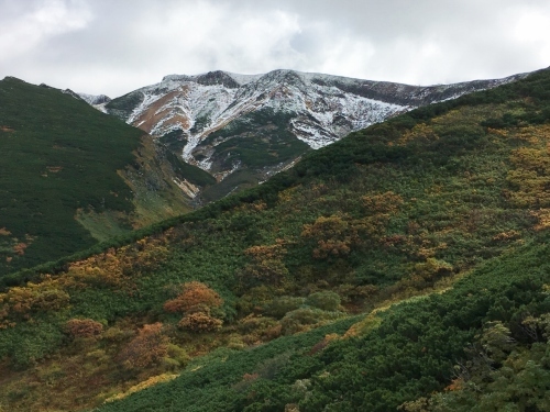富良野岳途中まで^^;_e0326953_23441825.jpg