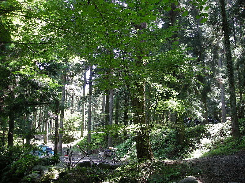 【見つかってほしい】不明の女児の行方　～山梨道志村_b0008655_21240841.jpg