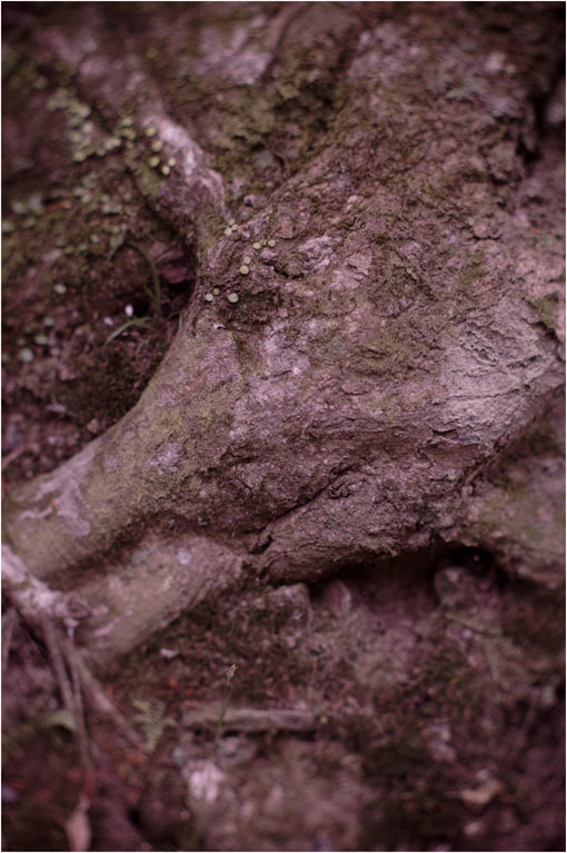 c0168172_23255462.jpg