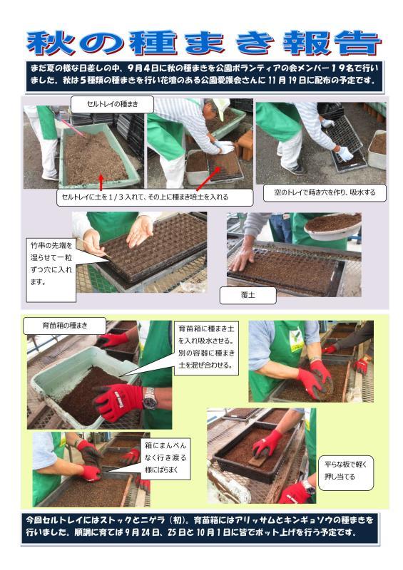 金沢区公園ボランティアの会10月号ブログ 旧金沢区緑の環境リーダー会ブログ 金沢区公園ボランティアの会 金沢区公園ボランティアの会10月号ブログ 旧金沢区緑の環境リーダー会ブログ 金沢区公園ボランティアの会