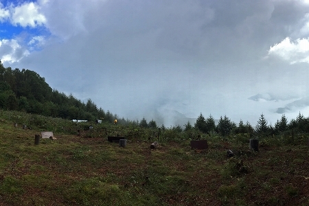 e0046474_20224687.jpg