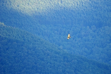 e0046474_21084795.jpg