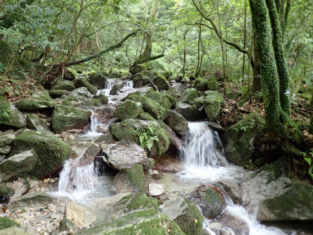 d0182075_05223688.jpg