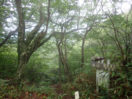d0182075_05224970.jpg