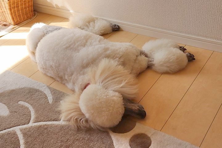 エアコン取り付け工事。_b0111376_16214706.jpg