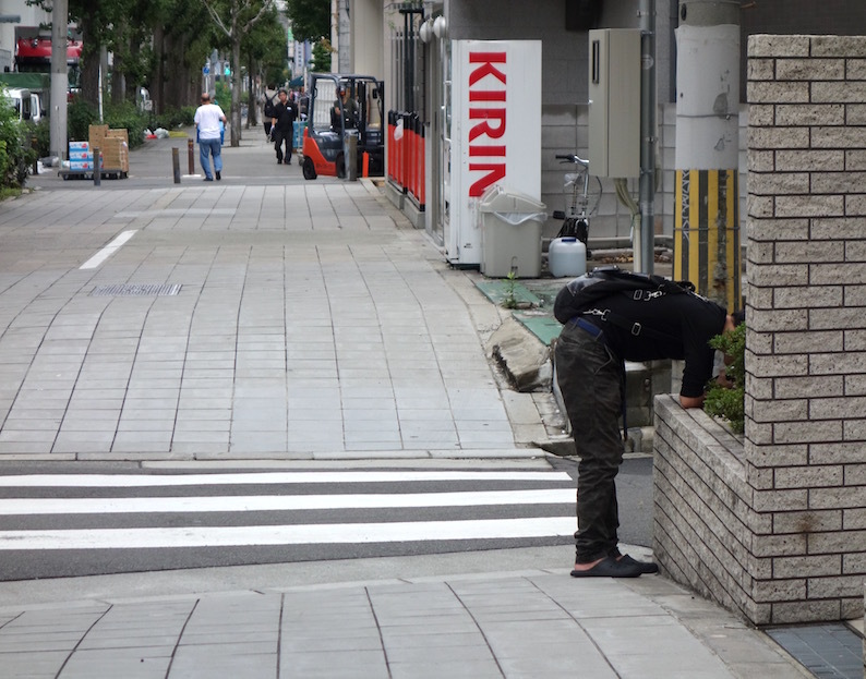 二日酔い?_b0057679_09035197.jpg