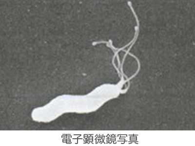 d0061579_12351625.jpg