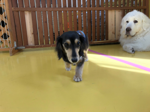 上手にできるかな?_f0357682_19170011.jpg