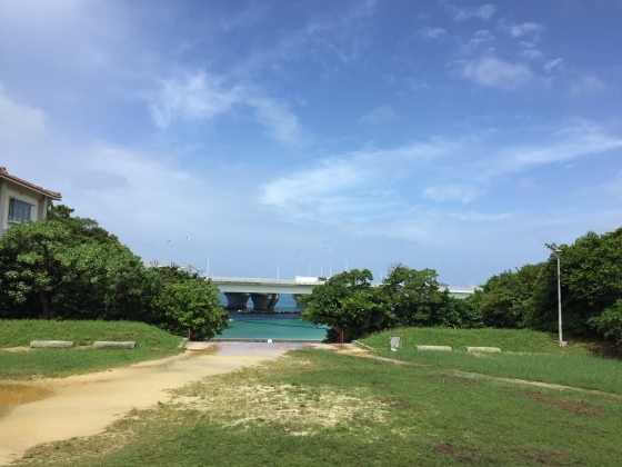 a0258686_06202891.jpeg