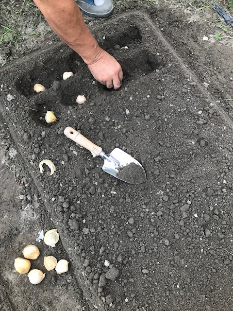 どんだけ畑好きやねん(^▽^;)_f0204295_16493390.jpg