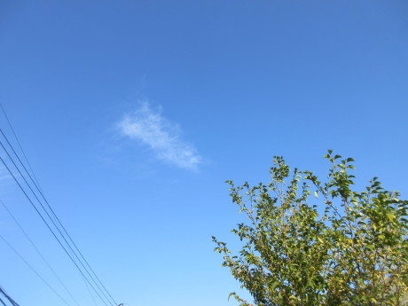岐阜・切井へ向けて出発進行_a0203003_07080728.jpg