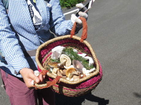 2019年9月6-7日山中湖大倉山荘ベースにキノコ狩り、バーベキュー_c0242406_13152029.jpg