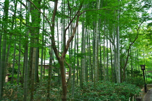 a0263109_21093614.jpg