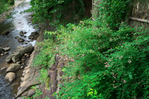 a0263109_21093727.jpg