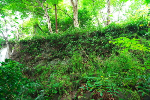 a0263109_21104829.jpg