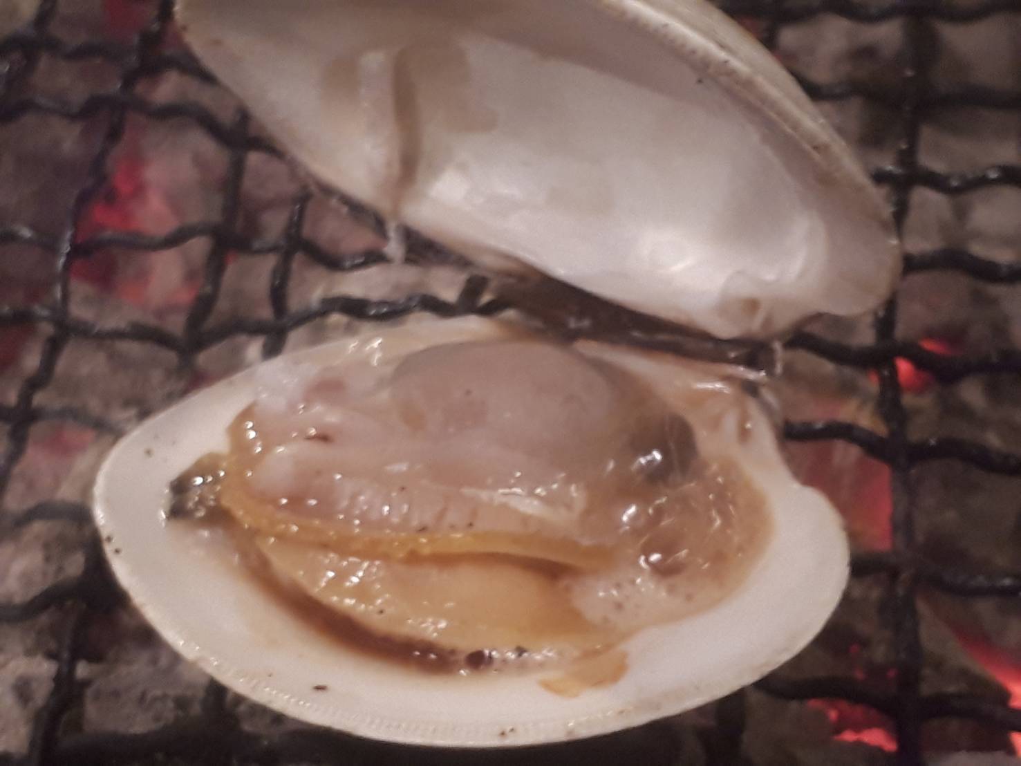 ホンビノス貝_f0157910_15160213.jpg