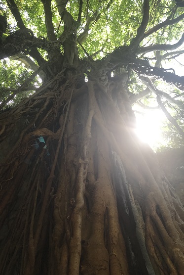 2019 夏旅! 後編_f0190816_231850100.jpg