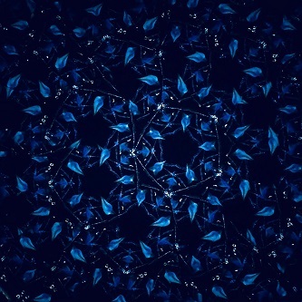 e0305824_16594142.jpg
