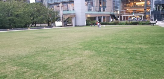 d0162225_08451020.jpg