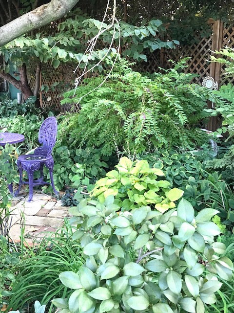 町の共同家庭菜園_d0269832_19312386.jpeg