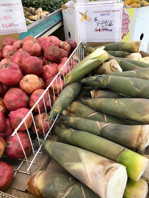 町の共同家庭菜園_d0269832_19332706.jpeg
