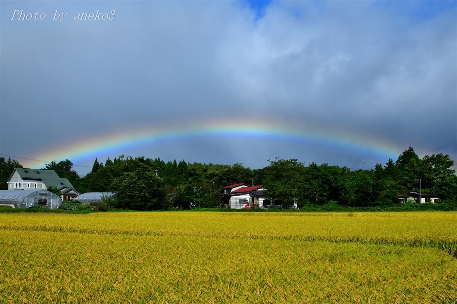 みちのく虹の日_d0067934_18285313.jpg