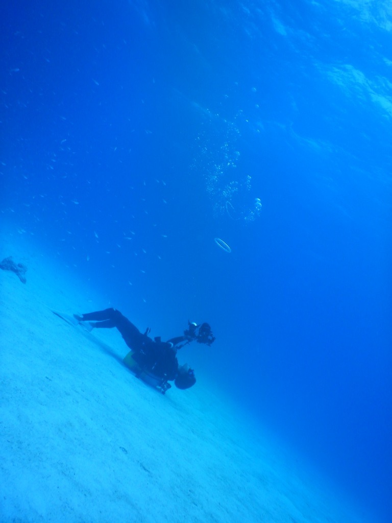 Diving with Liuqiu dive !! DAY 2☆_a0189838_00162085.jpg