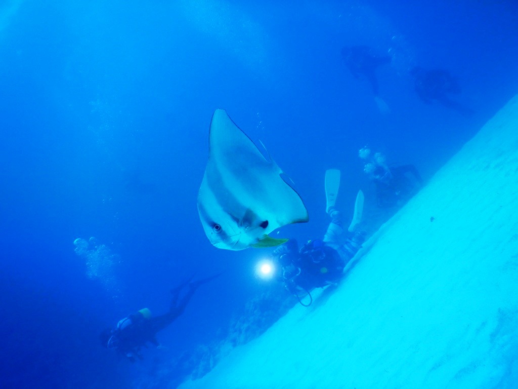 Diving with Liuqiu dive !! DAY 2☆_a0189838_00170005.jpg