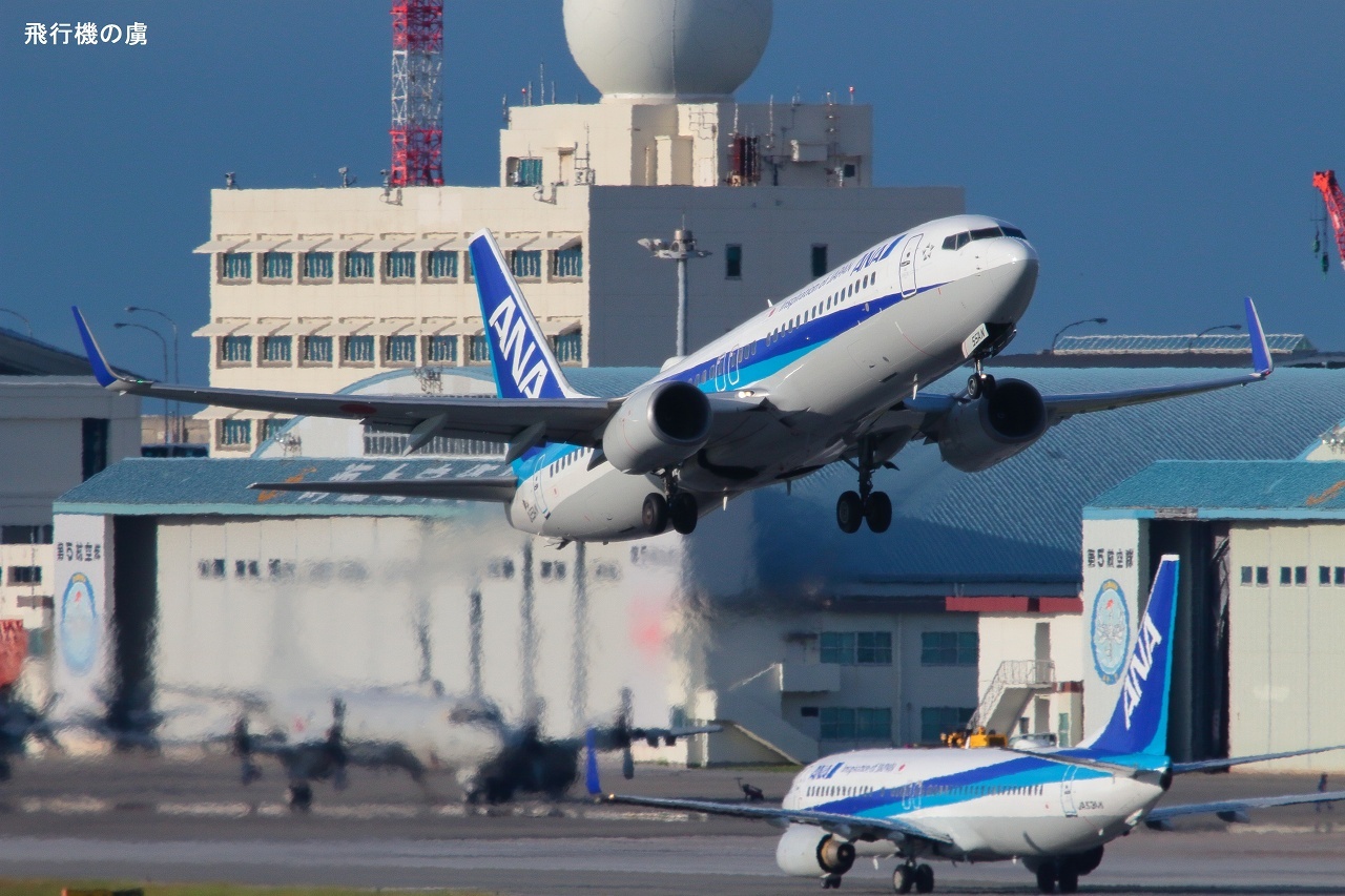 新鮮な通常塗装機 B737 全日空(NH)_b0313338_05533955.jpg