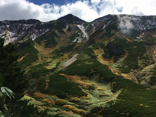 富良野岳途中まで^^;_e0326953_00021909.jpg
