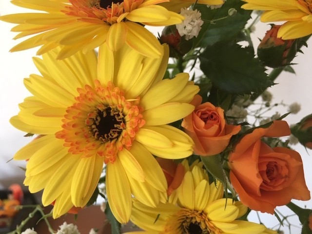 c0344679_20383998.jpg