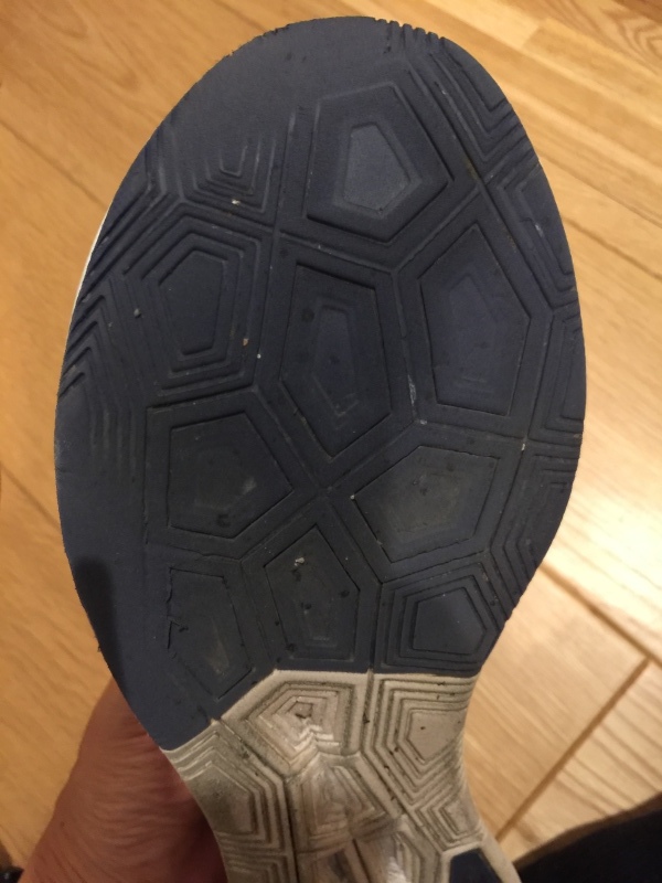1,300km超えのズームフライFK_f0310282_19101678.jpeg