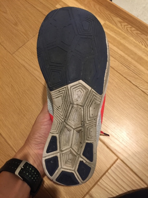 1,300km超えのズームフライFK_f0310282_19112197.jpeg