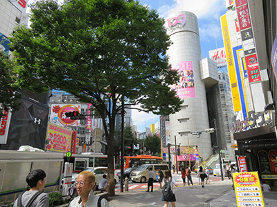 b0056983_21363443.jpg