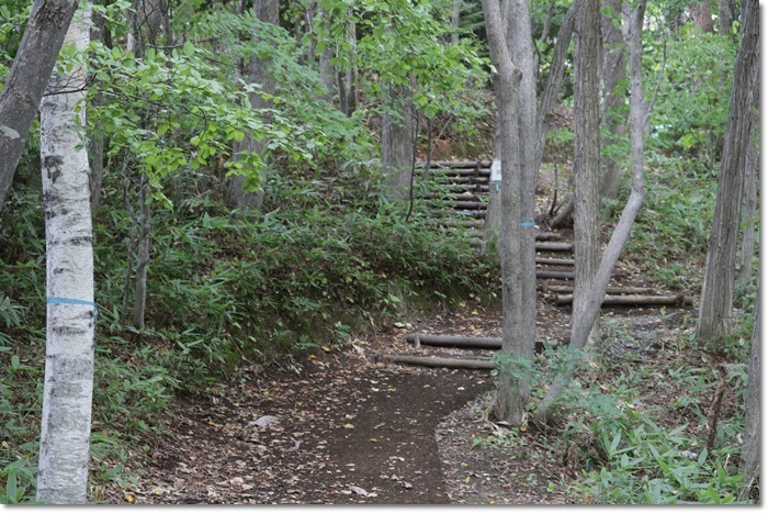 f0146493_16503814.jpg