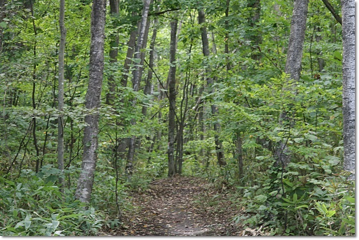 f0146493_16514404.jpg
