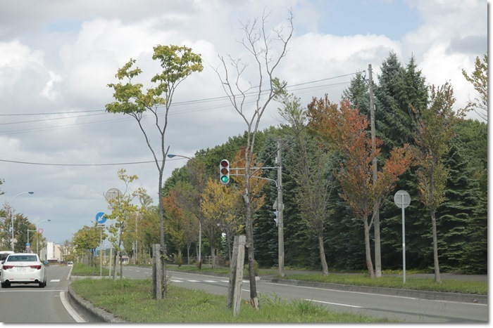 f0146493_16573551.jpg