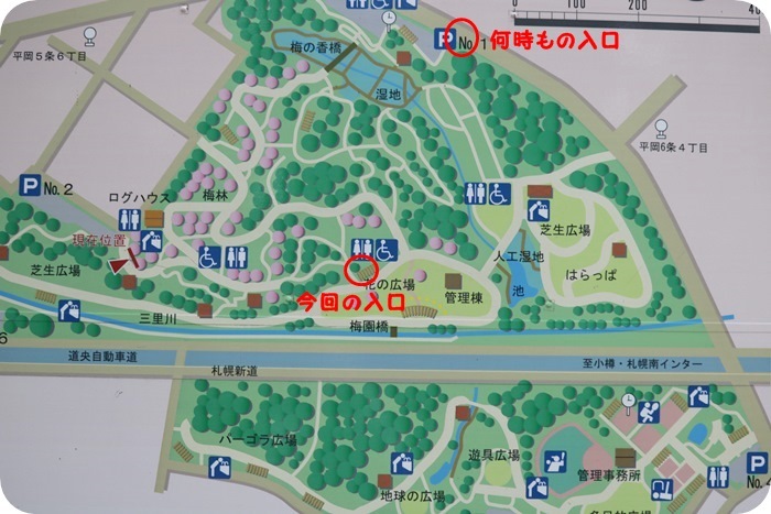 f0146493_16574512.jpg