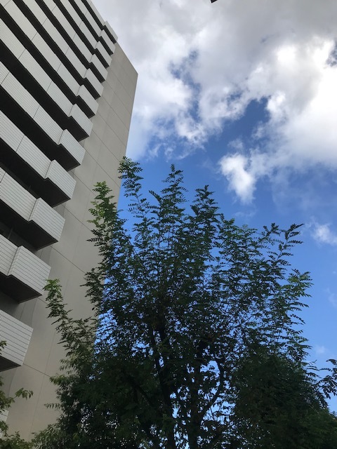 検査結果_f0204295_10252505.jpg