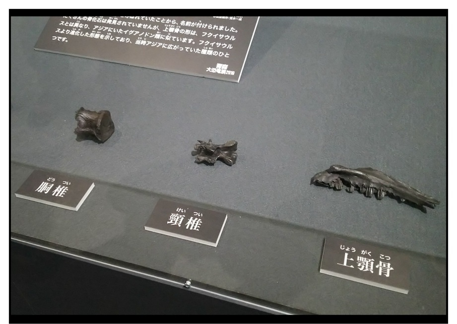 【漫画で雑記】青森大恐竜展2019は撮影可能!!_f0205396_14360313.jpg