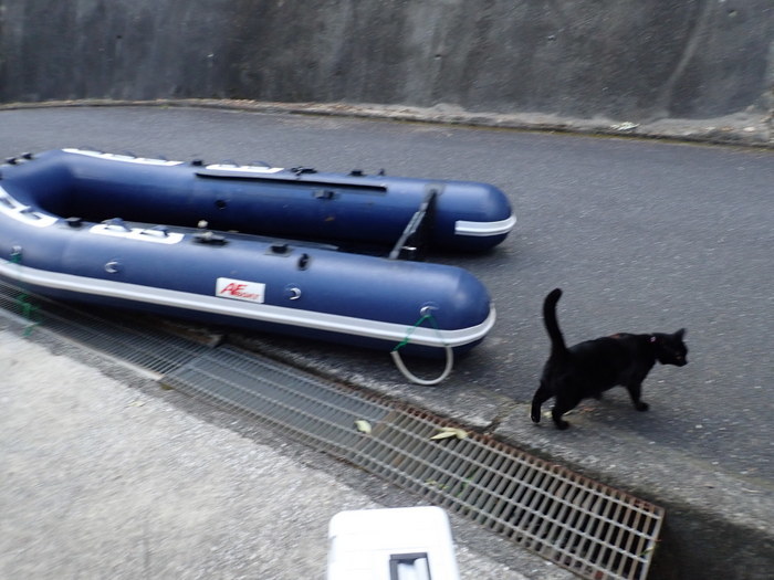夫の釣果とその後(今回は大物も)_c0116915_01122760.jpg