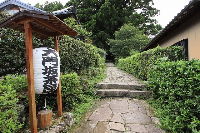 世界遺産 熊野古道大門坂を散策(撮影:9月3日)_e0321325_19113259.jpg