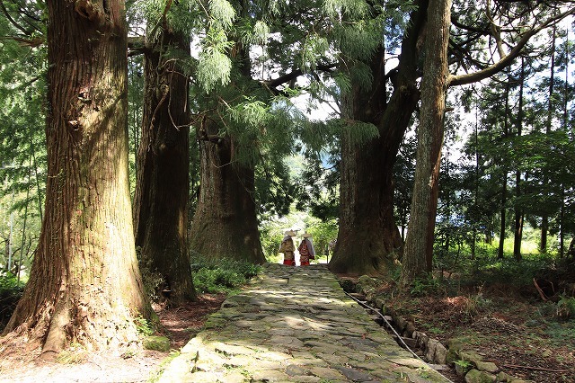 世界遺産 熊野古道大門坂を散策(撮影:9月3日)_e0321325_19123534.jpg