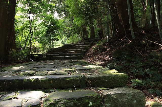 世界遺産 熊野古道大門坂を散策(撮影:9月3日)_e0321325_19130874.jpg