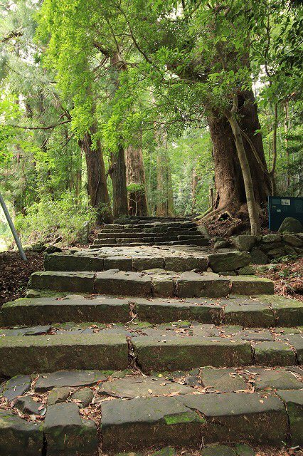 世界遺産 熊野古道大門坂を散策(撮影:9月3日)_e0321325_19132608.jpg