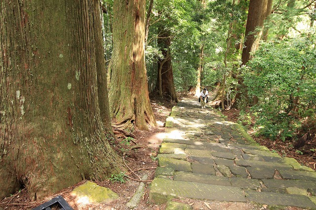 世界遺産 熊野古道大門坂を散策(撮影:9月3日)_e0321325_19134229.jpg